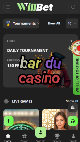 Bar du Casino - Best French Casino Bar Experience-www.bdqngd.com