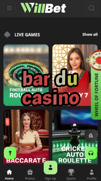 Bar du Casino - Best French Casino Bar Experience-www.bdqngd.com