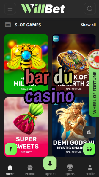Bar du Casino - Best French Casino Bar Experience-www.bdqngd.com